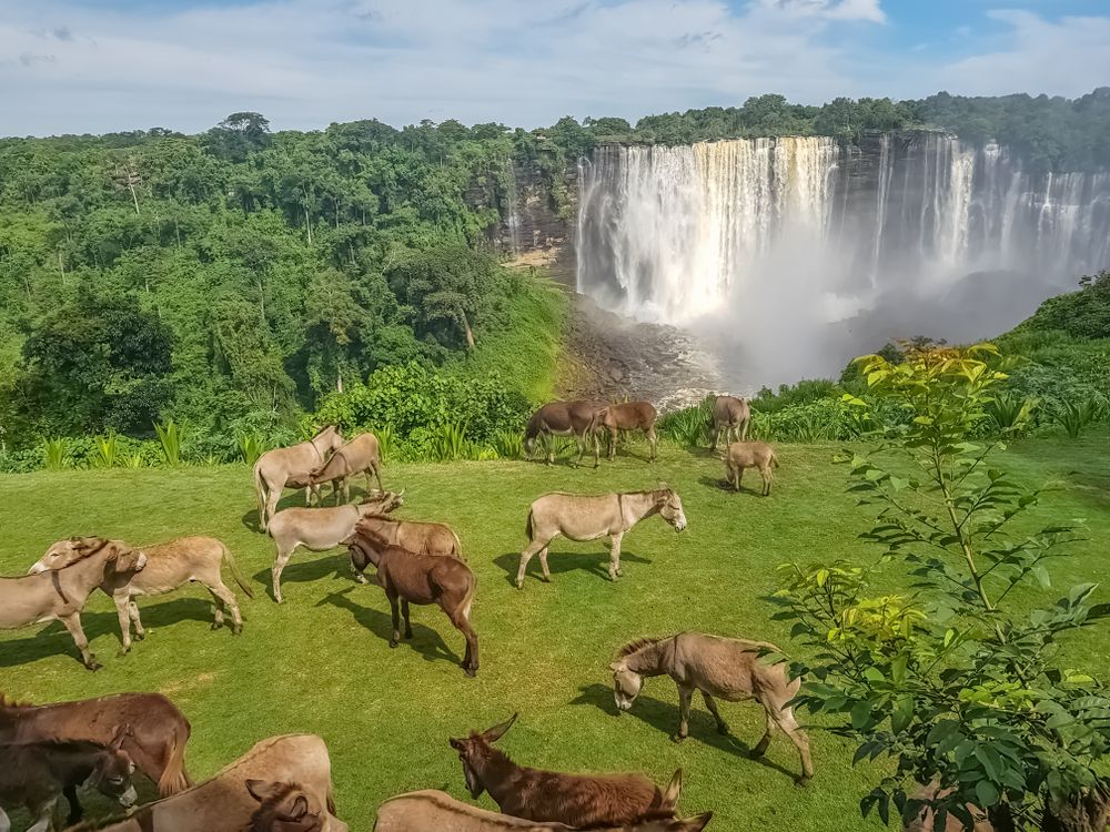 This Massive Waterfall In Africa Is One Of The Largest & Yet Almost