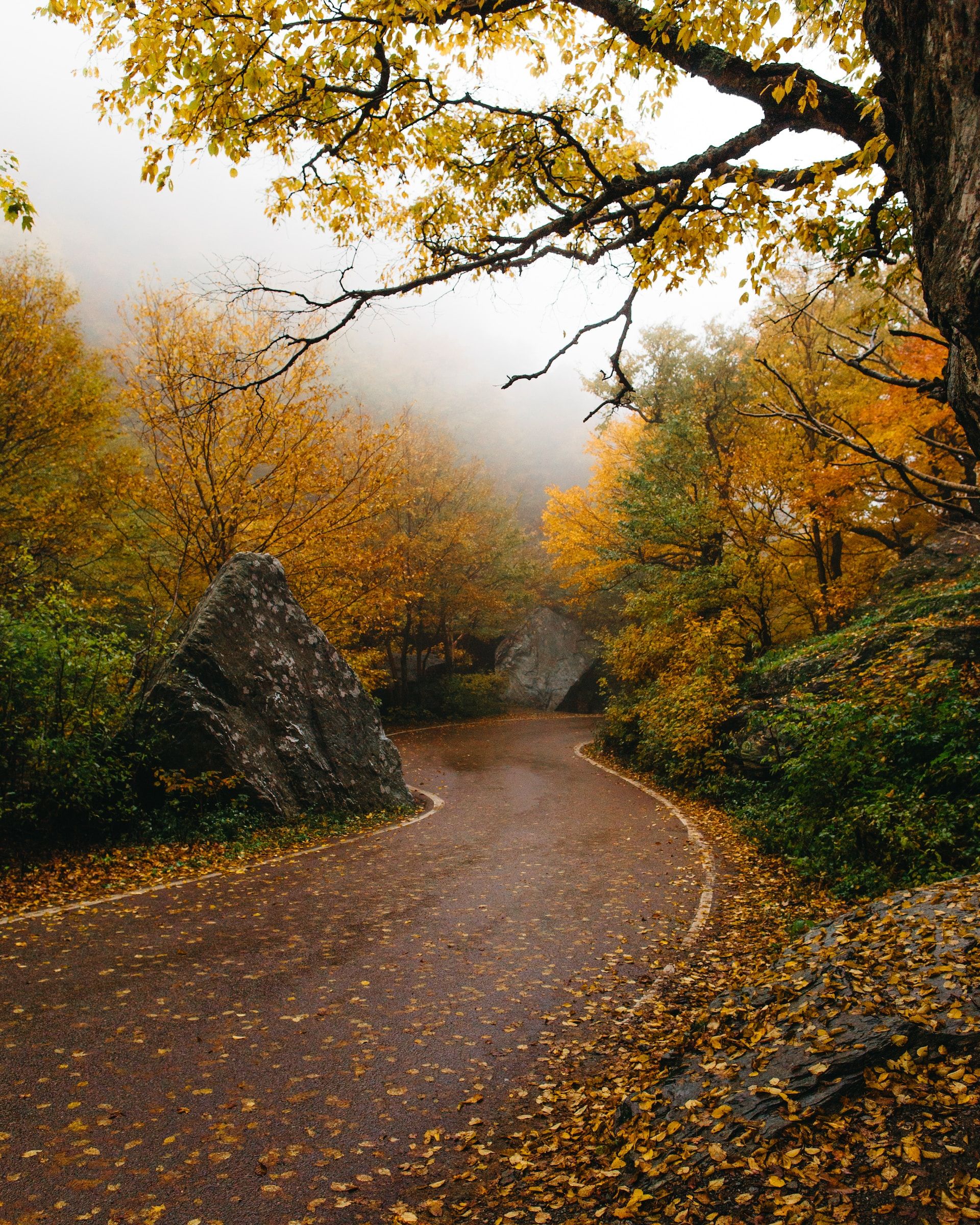 Scenic Route 100 Byway, Vermont, United States