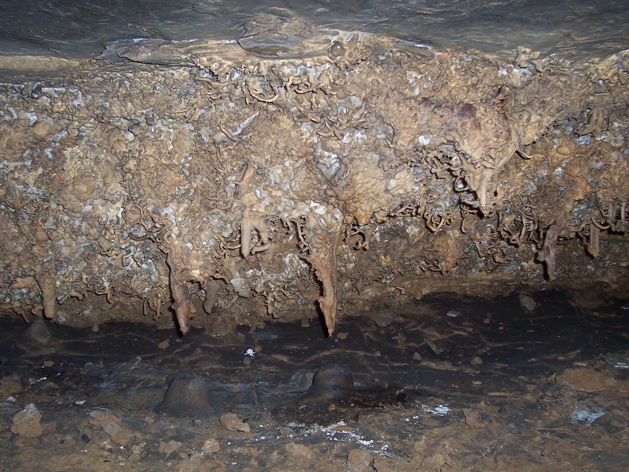 Wyandotte Caves: Tour These Ancient Caves Mined By Native Americans For ...