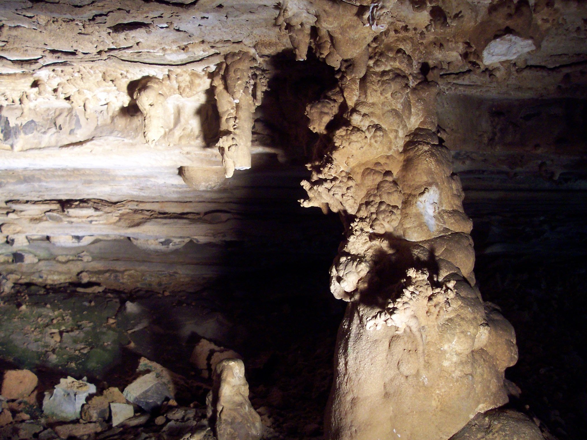 wyandotte cave tours