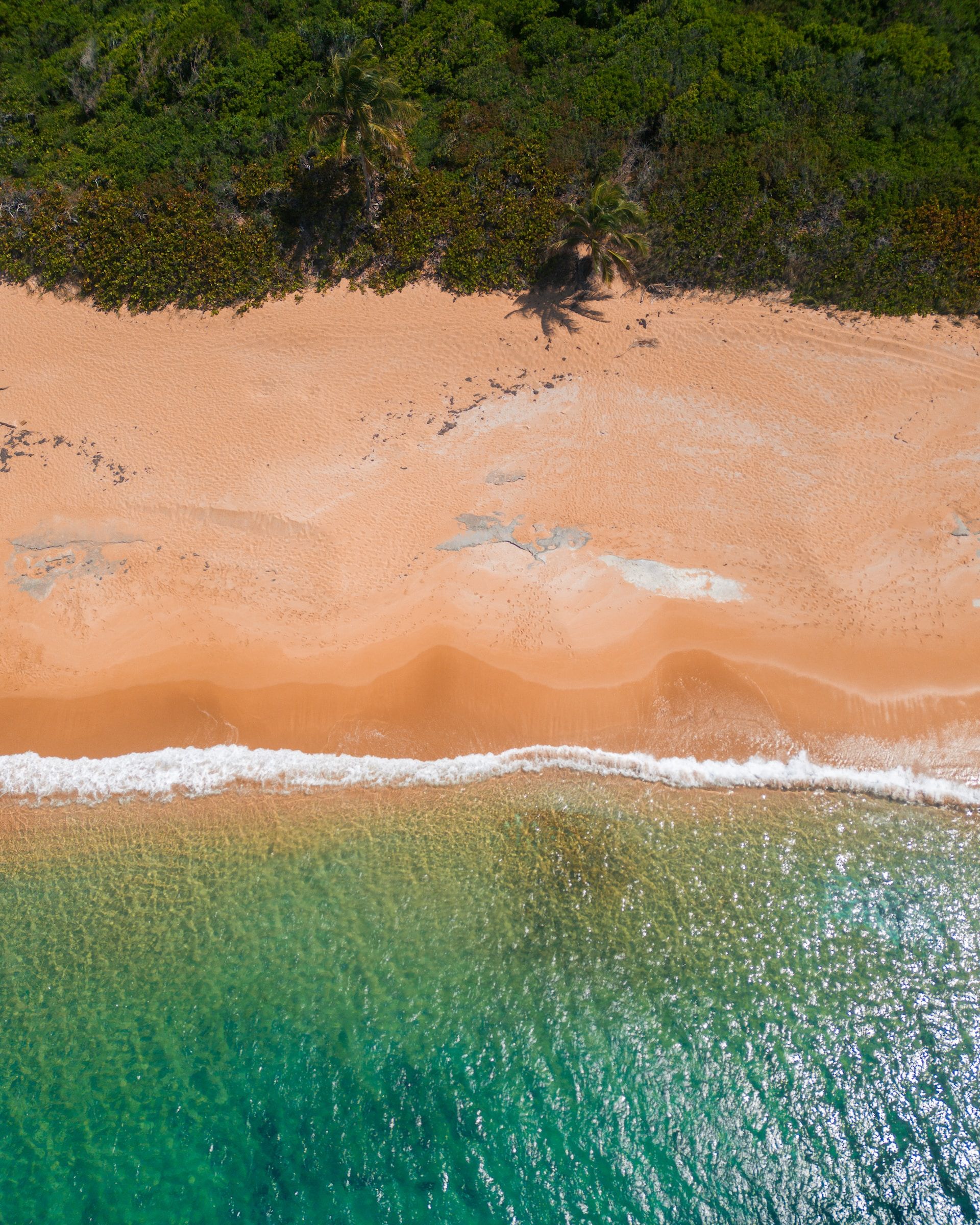 A sandy beach lapped with the green waters in Puerto Rico