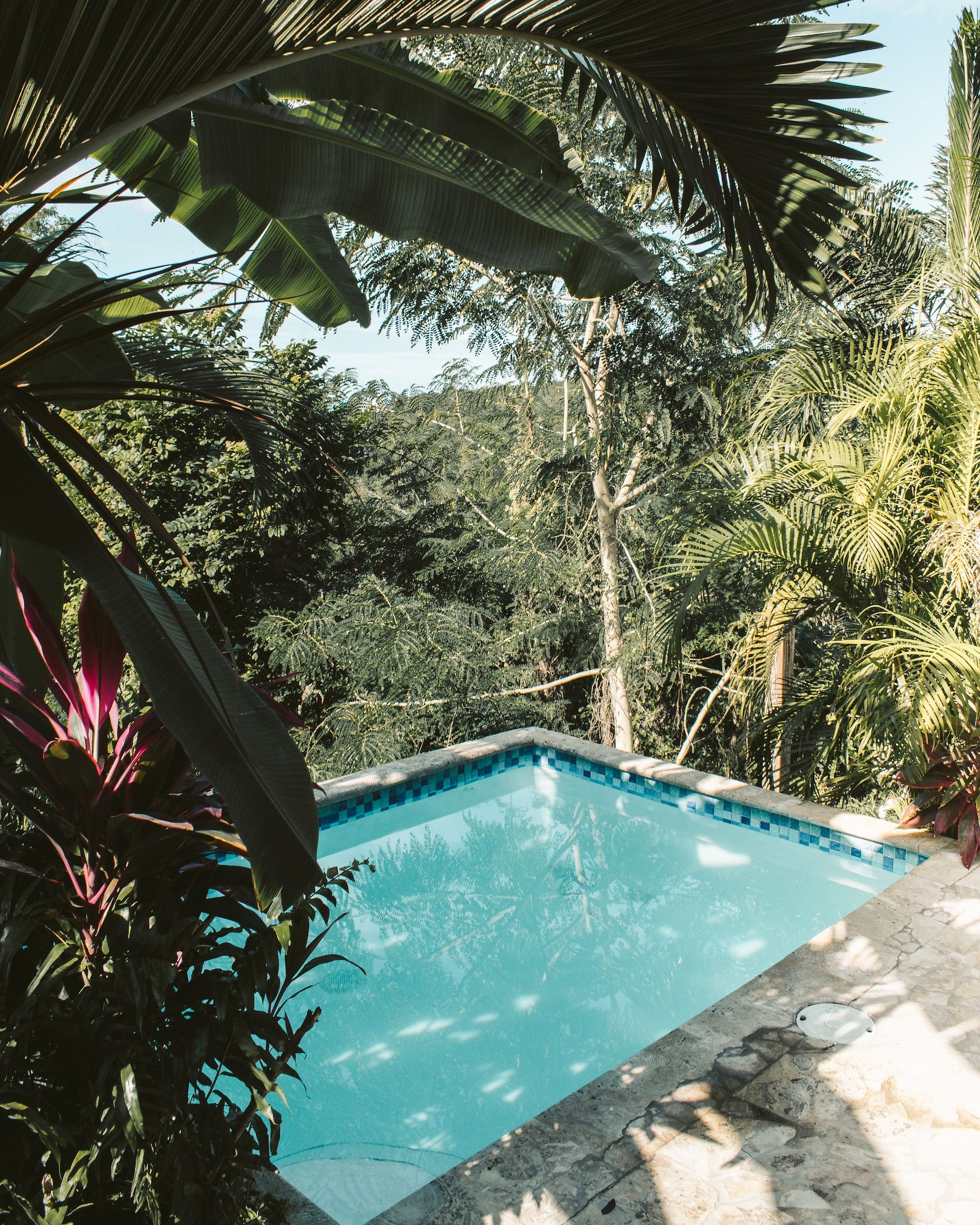 A small pool amid lush greenery in Puerto Rico