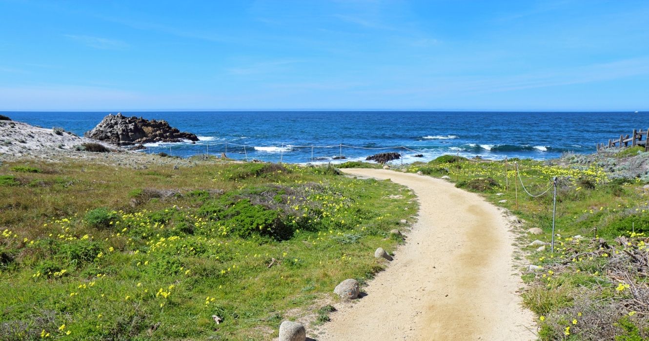 A walkway leading to Asilomar State Beach in Monterey Bay