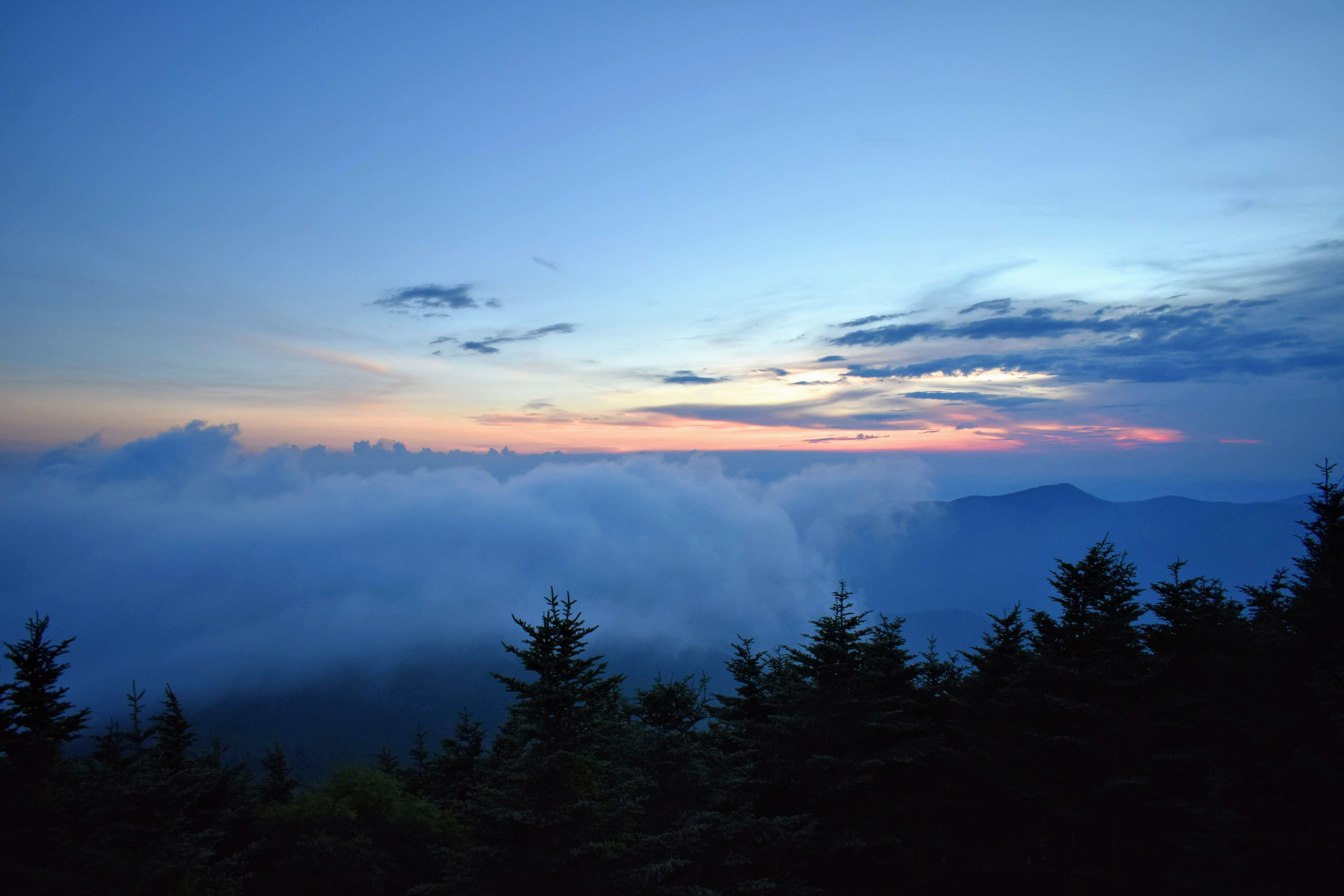 10 Most Beautiful Hikes You Can Do Near Asheville   Adner Verdecia Qsa8ynyzvvq Unsplash 