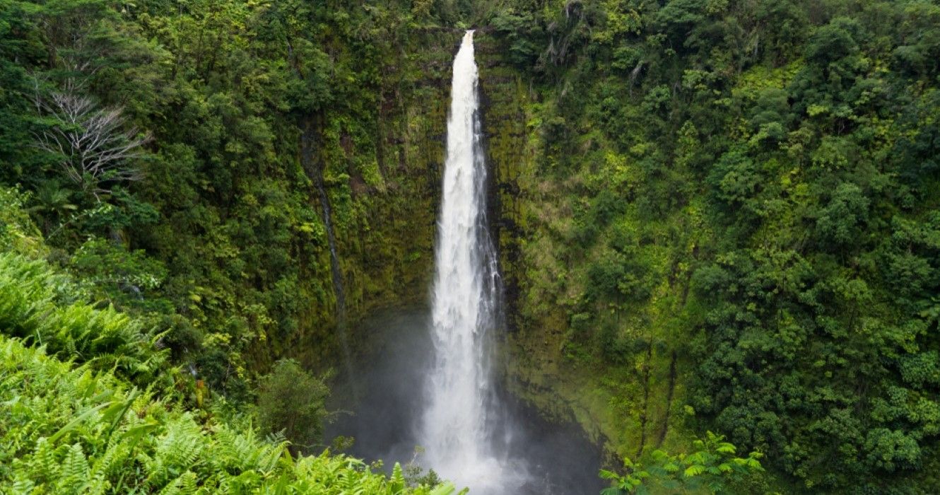 Akaka Falls, spectacular waterfall, Hawaii, Big Island