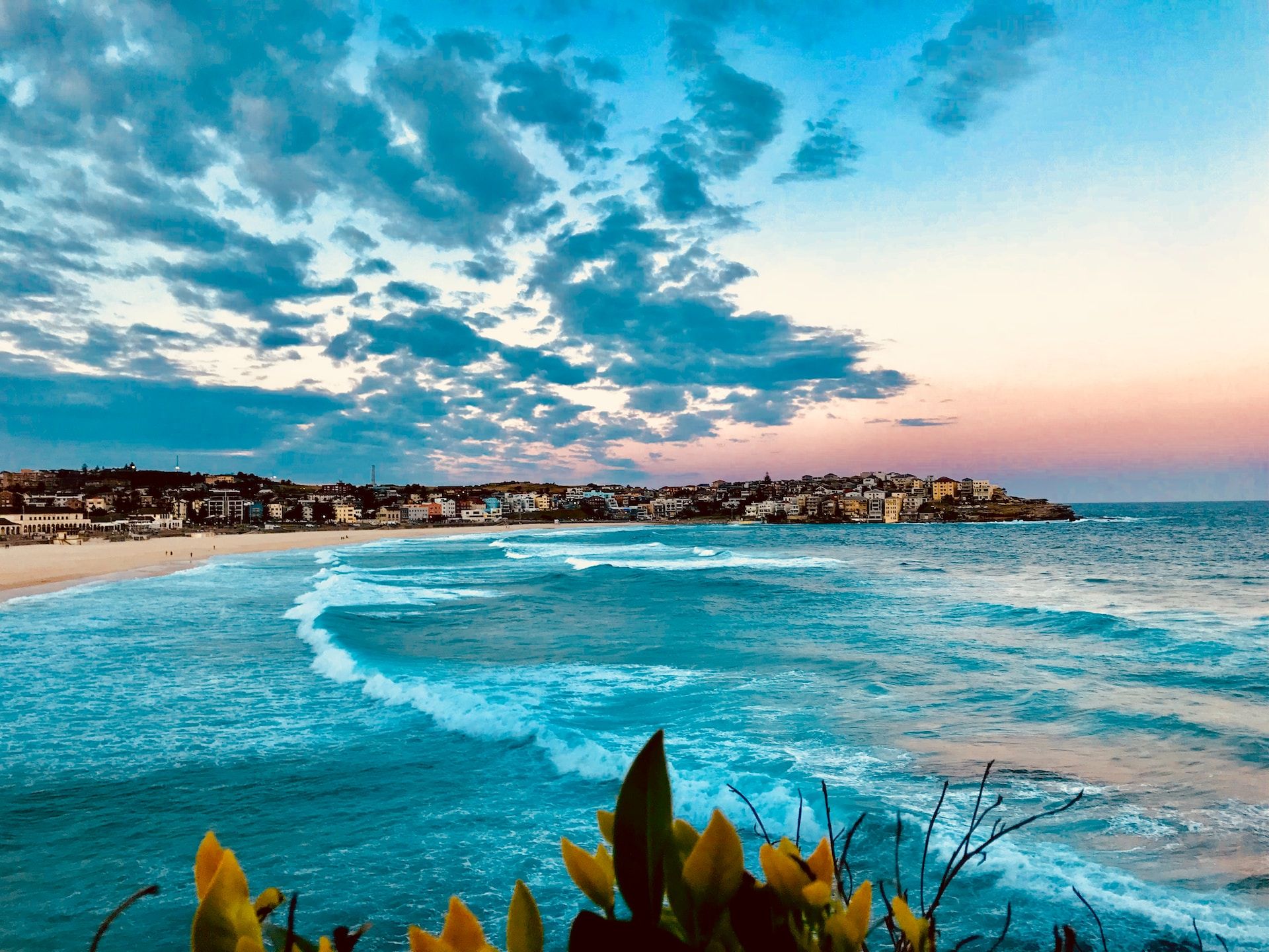 10 Best Sydney Beaches Where Sun, Sand, and Serenity Meet Paradise