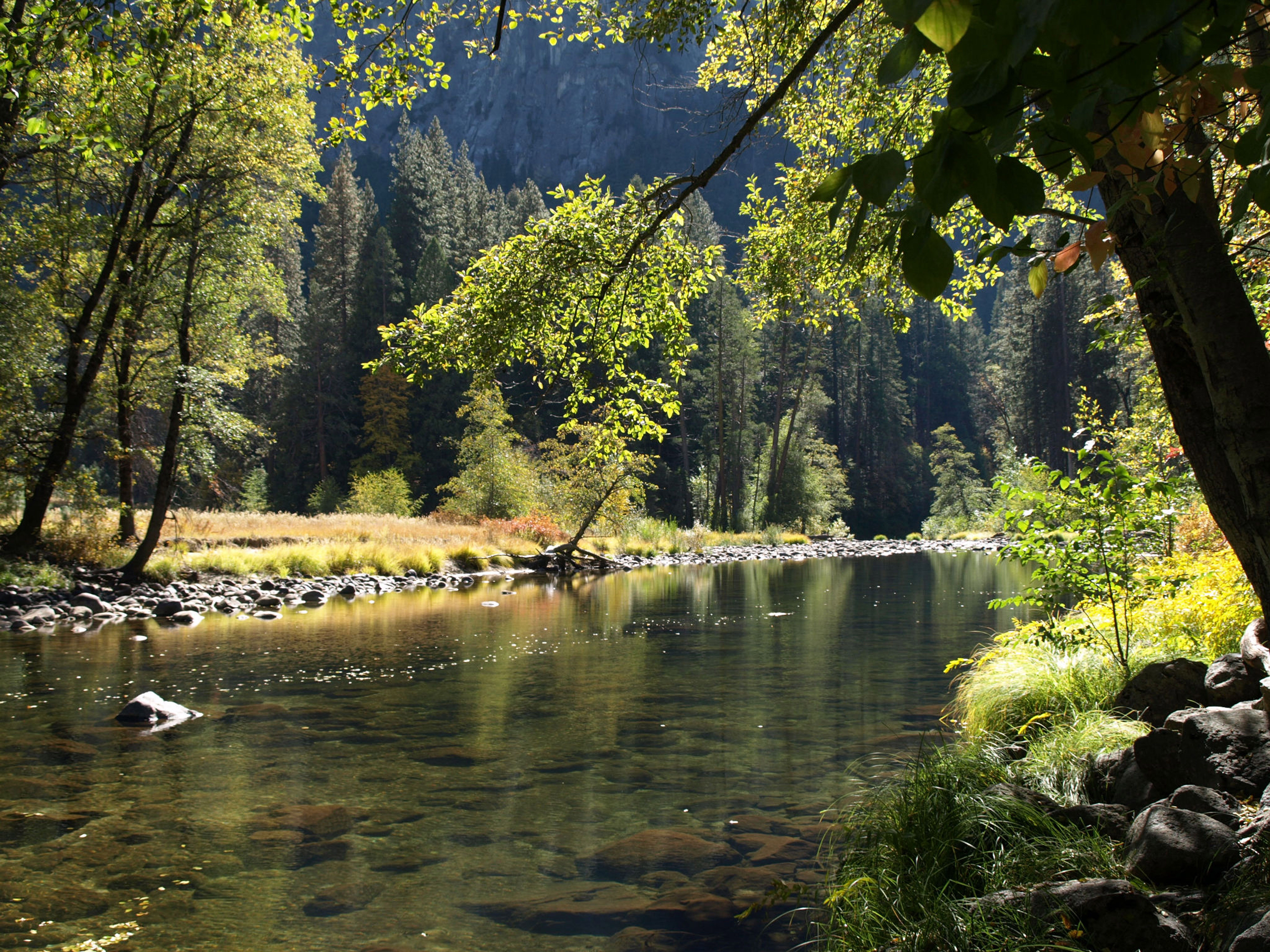 River in the Yosemite National Park