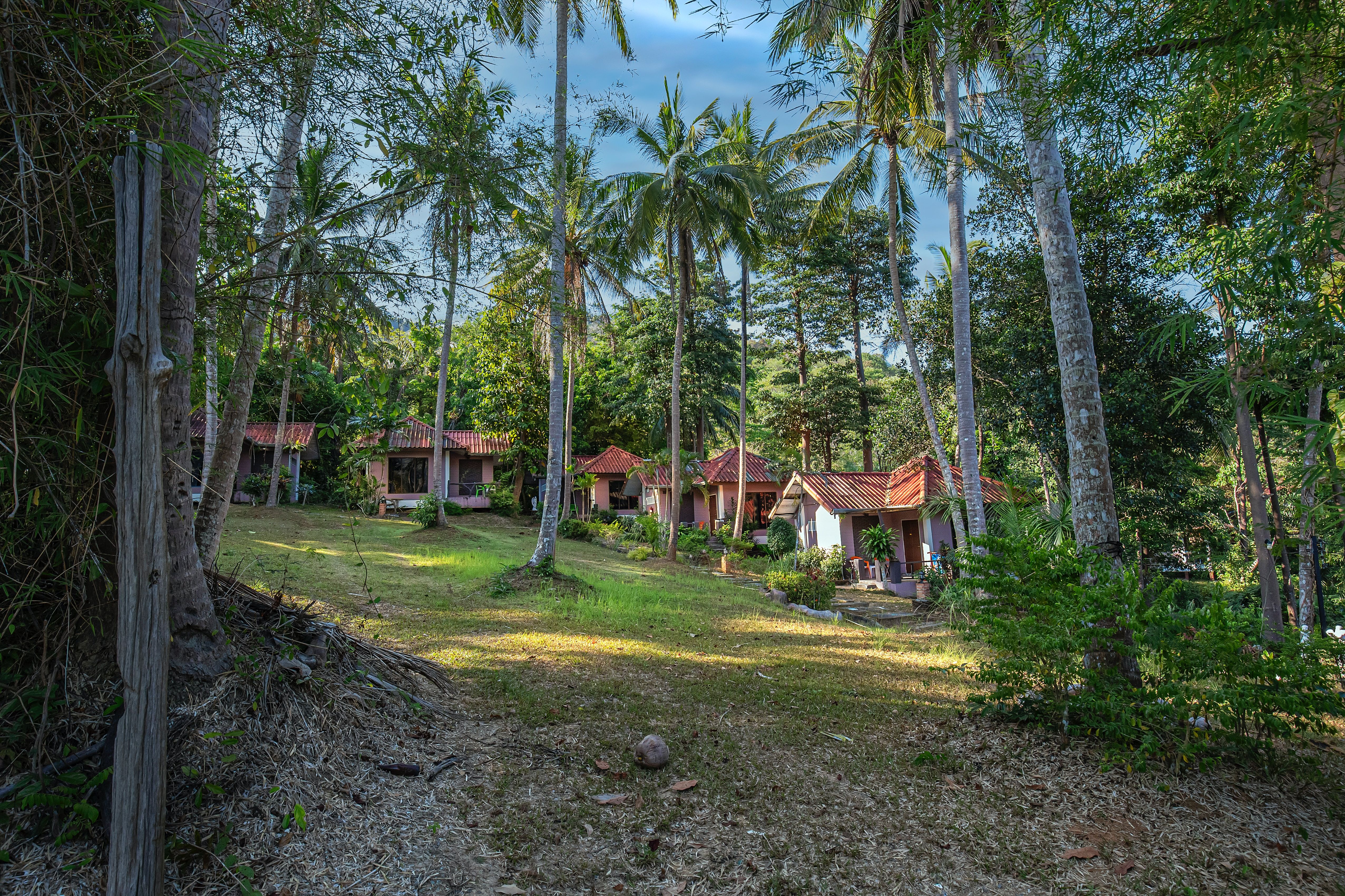 Houses set back behind some trees on a sunny day in the Thai Islands.