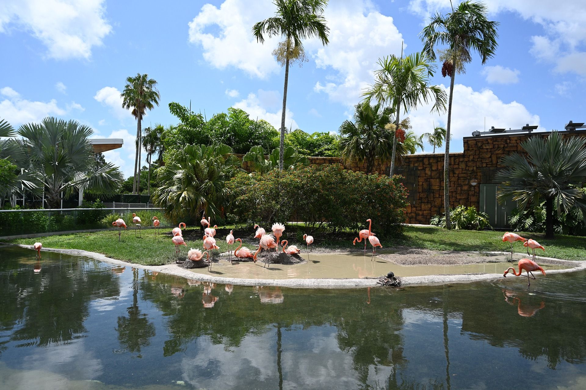 Miami Zoo
