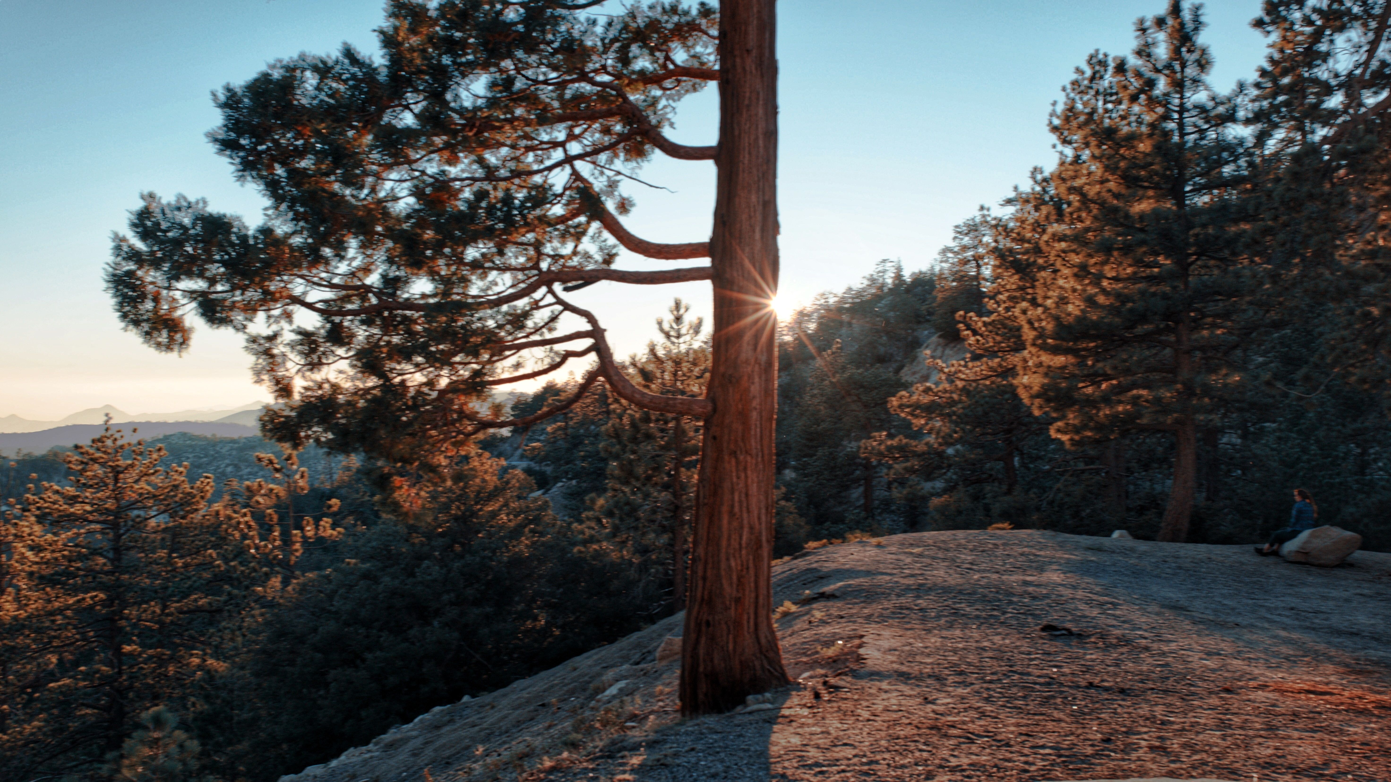 Angeles National Park