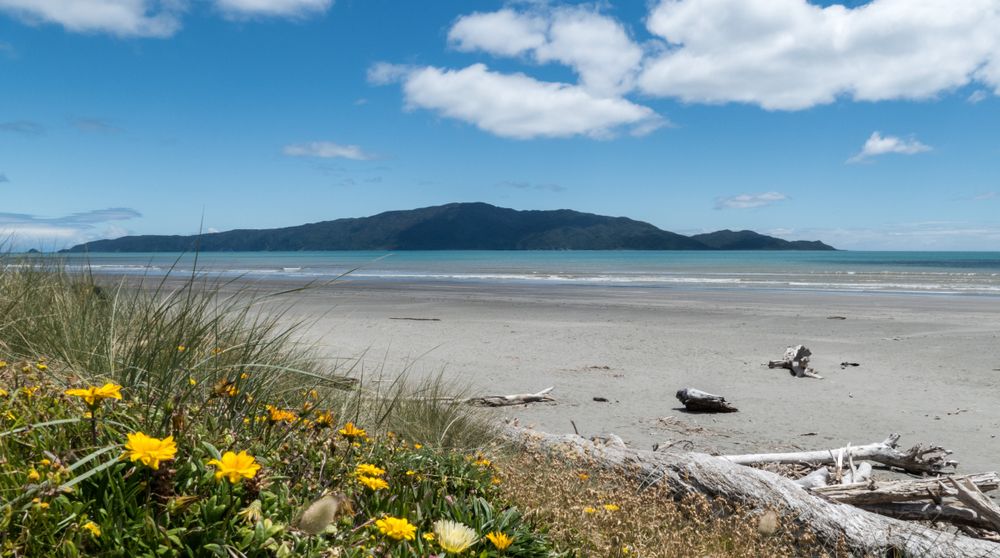 Cette île au large de la Nouvelle-Zélande est l'une des meilleures ...