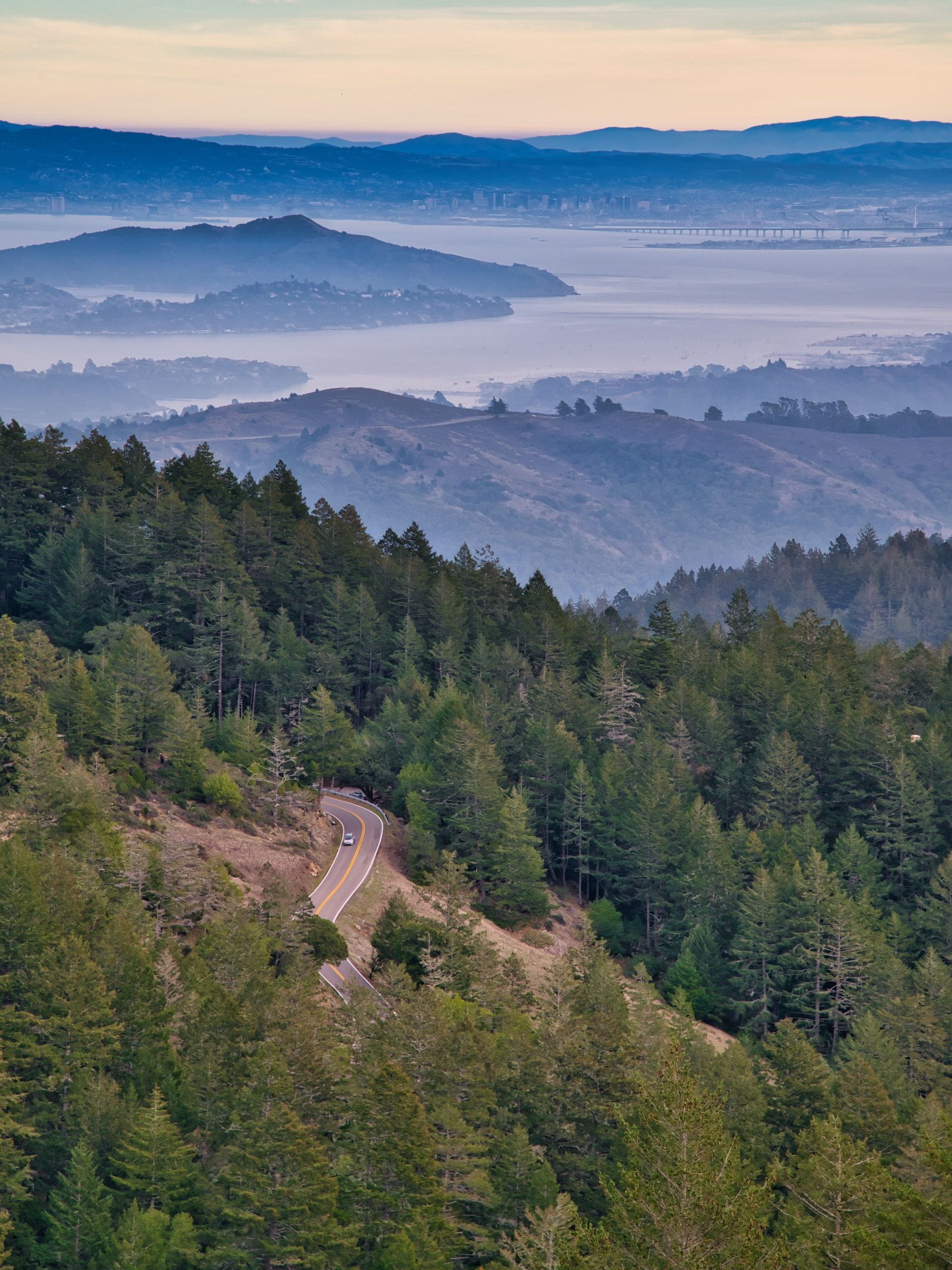 View of Mount Tamalpais State Park, California
