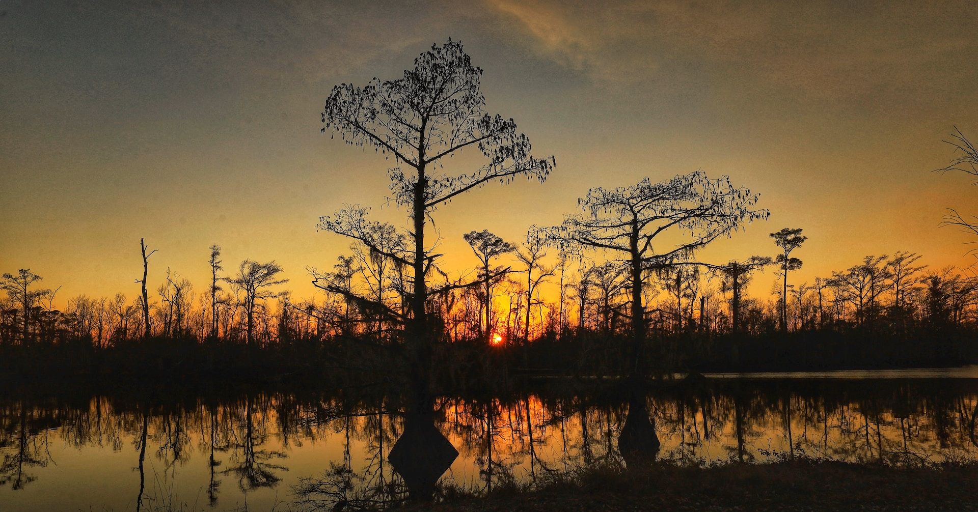 10 Underrated Towns That You'D Never Guess Exist In The South