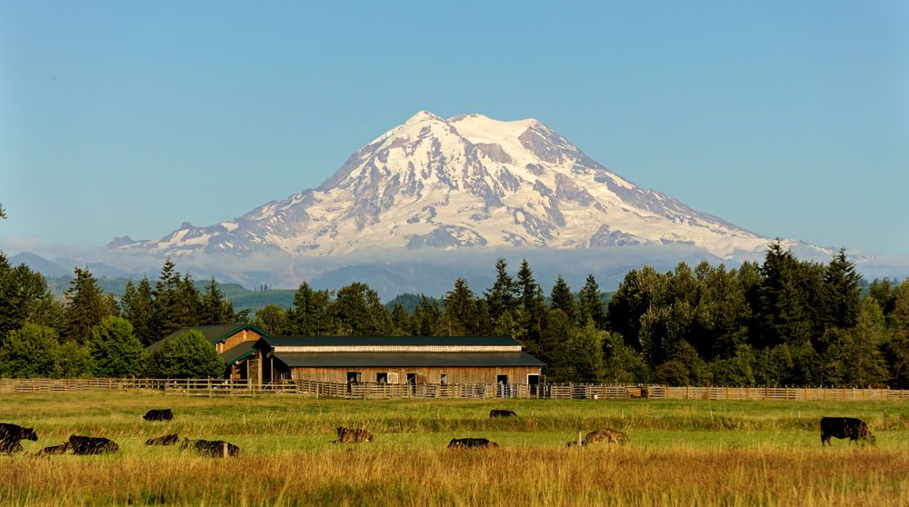 Mount Rainer and Farm