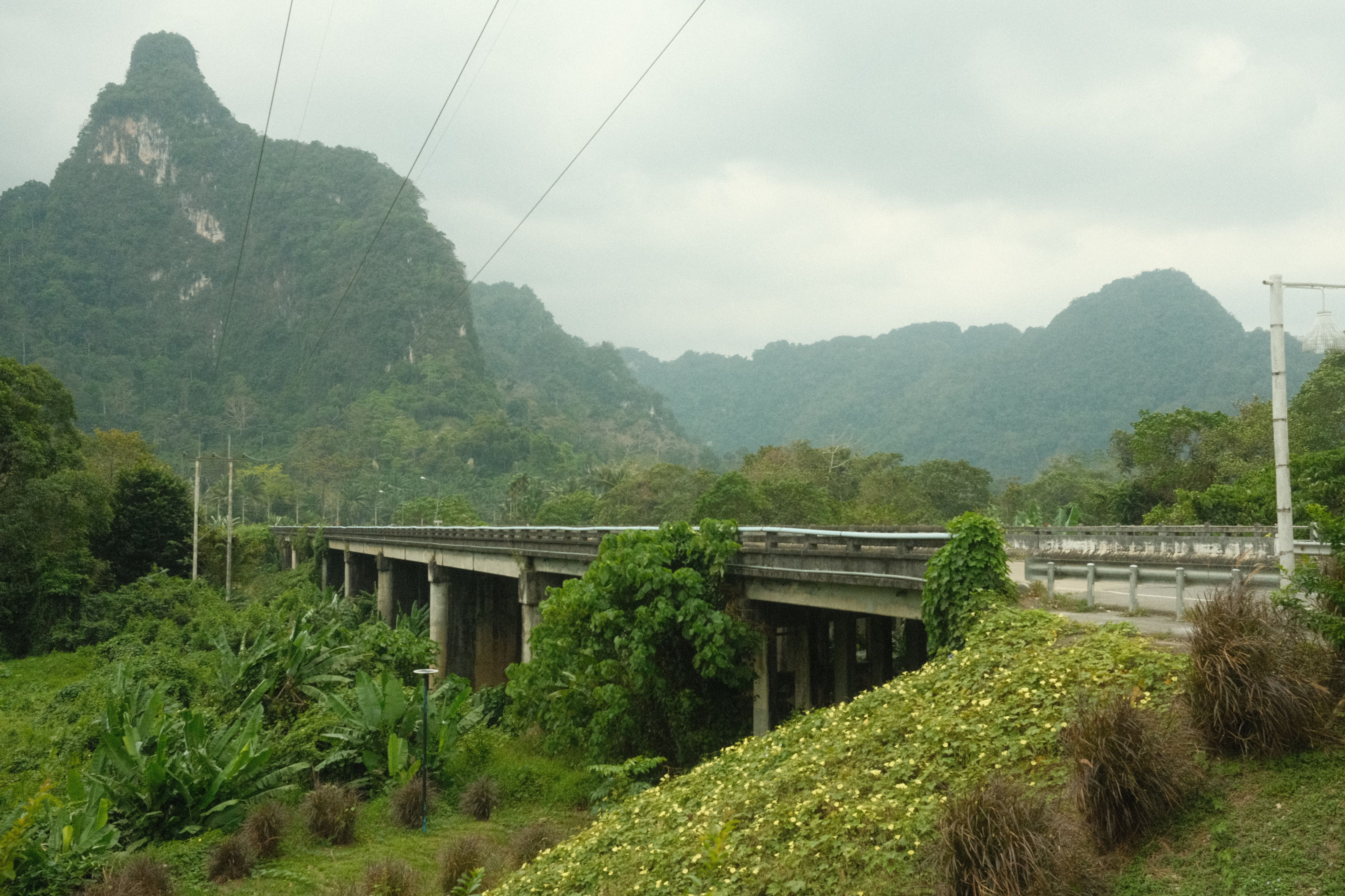 Train tracks in Khao Sok National Park, Thailand