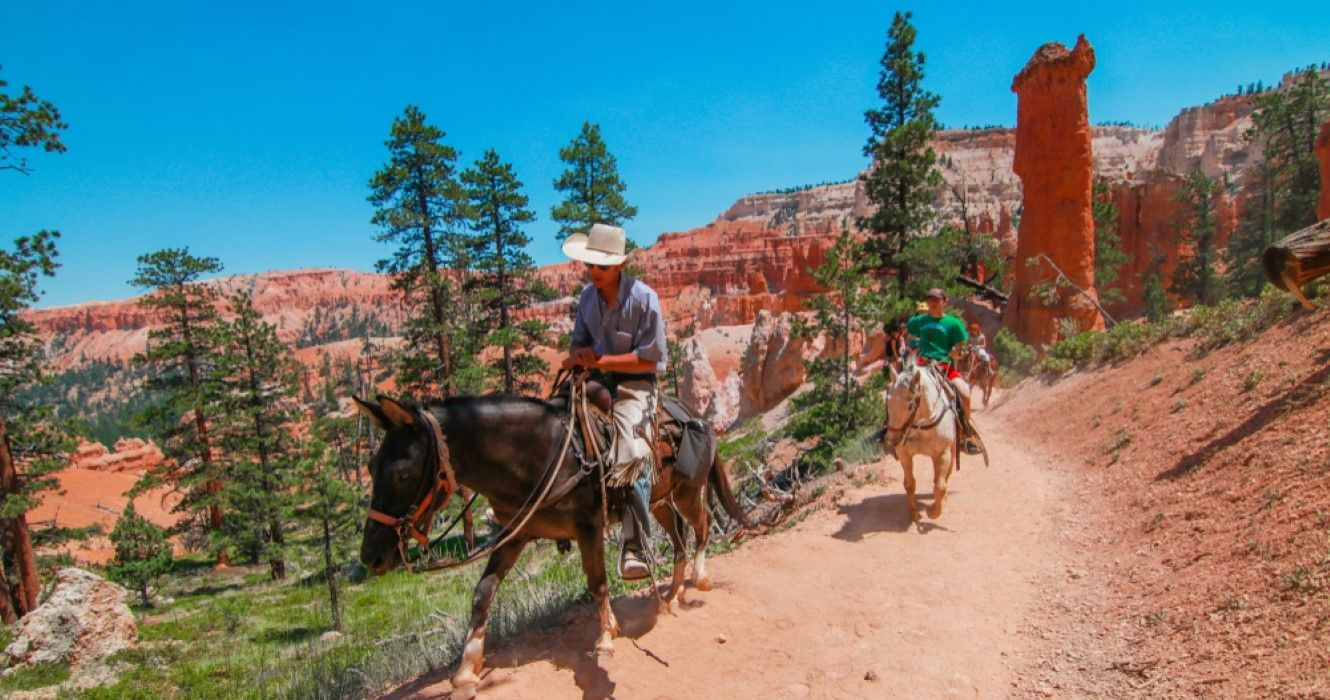 People riding on horses on the hiking trails in Bryce Canyon National Park, Utah