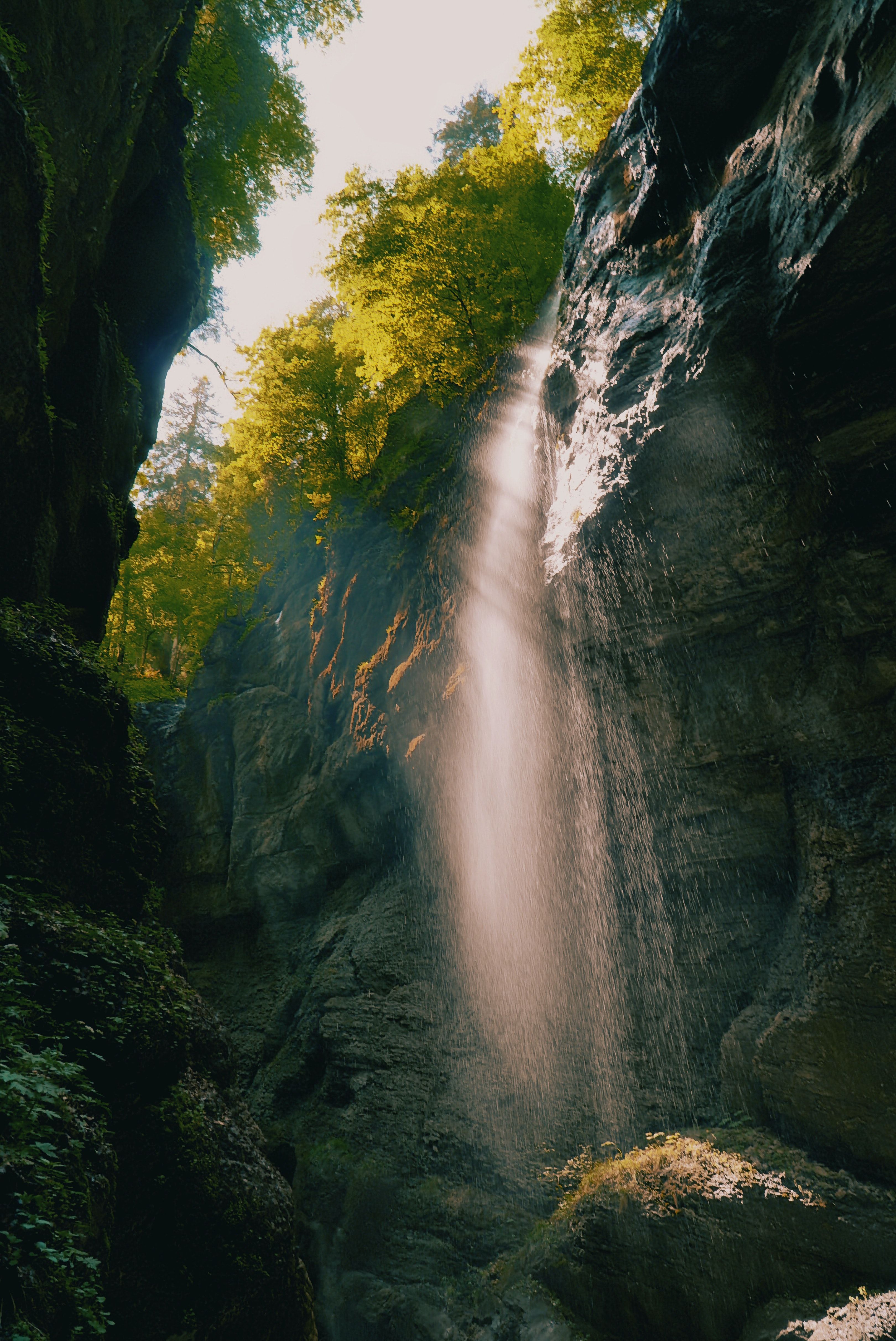 Waterfall on Rock Formations with Trees above