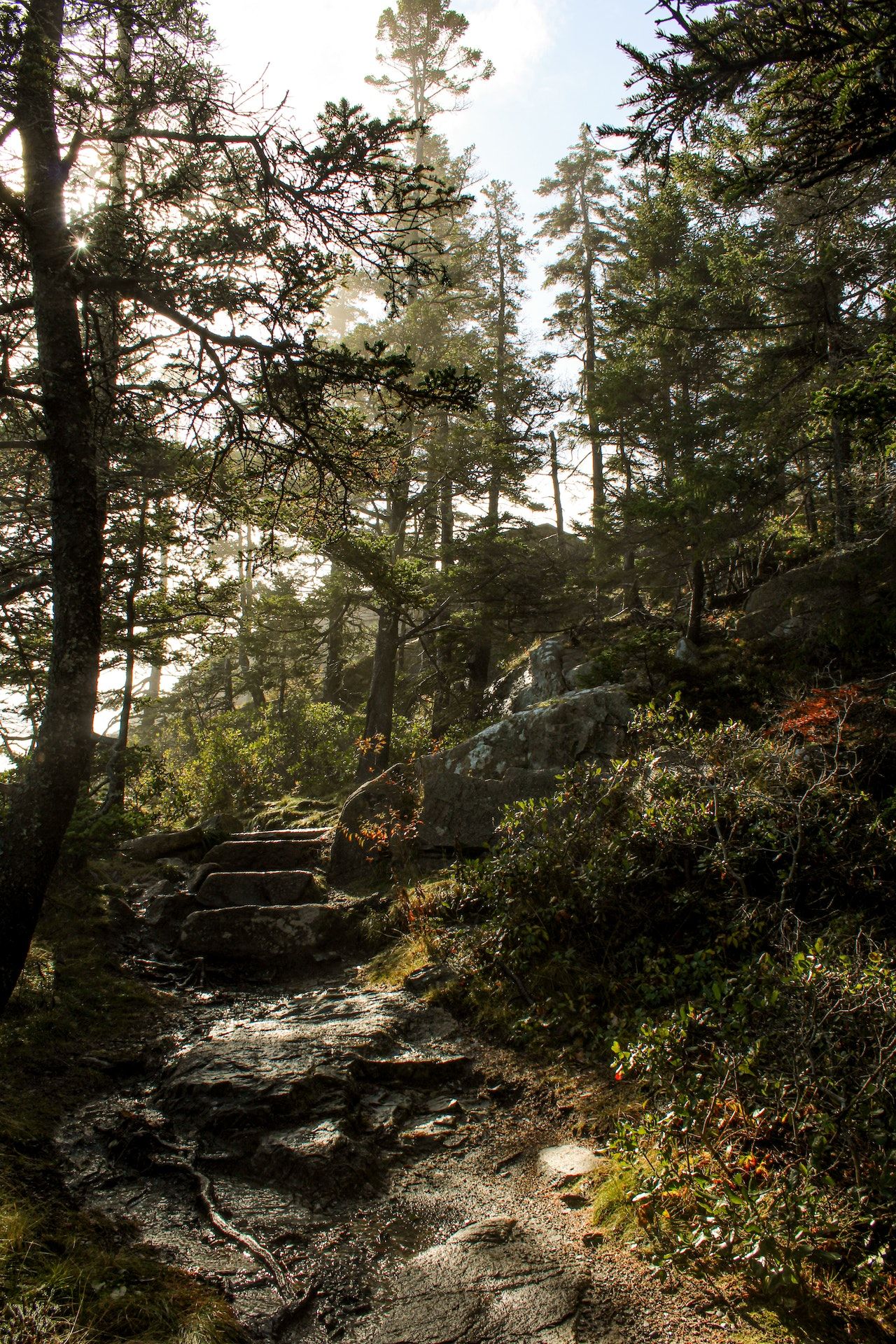 10 Best Ellsworth Maine Hotels For A Fall Getaway Filled With Scenic ...