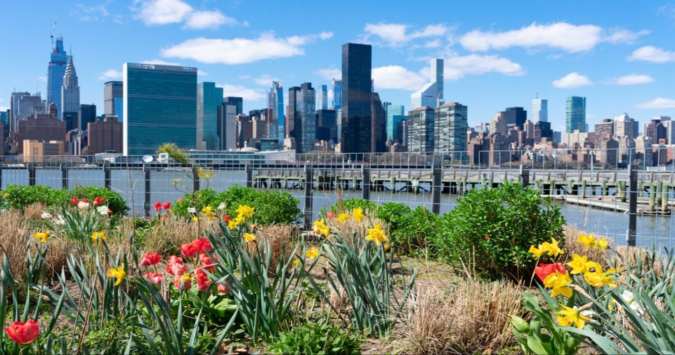 Plants and Flowers at Gantry Plaza State Park in Long Island City, Queens, featuring  the Manhattan skyline in the background, New York City, USA