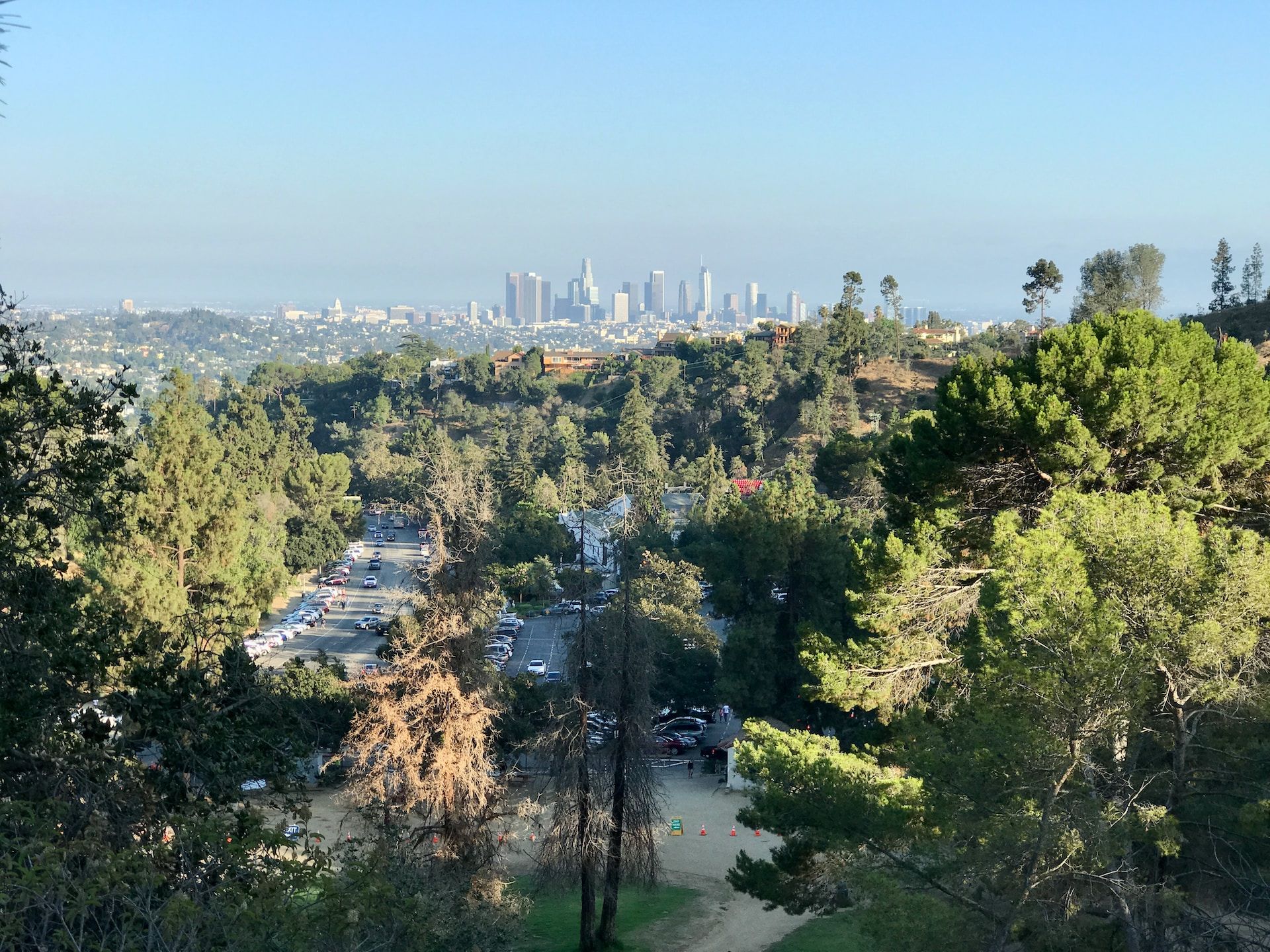Aerial view of Griffith Park in Los Angeles
