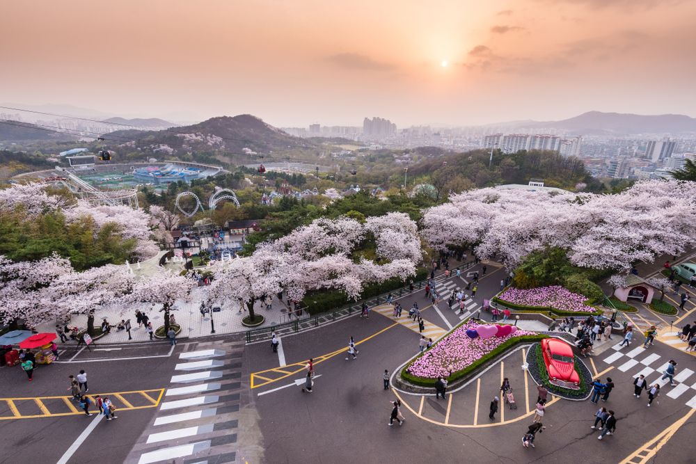 Sunset in Daegu city in spring, South Korea