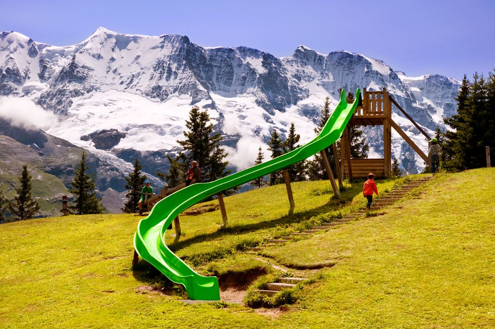 Amazing Alpine Slide Down Alps 