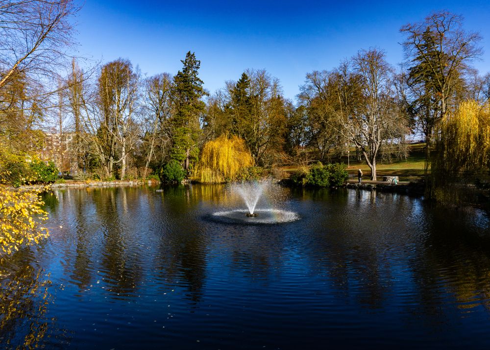  Pond at Wright Park