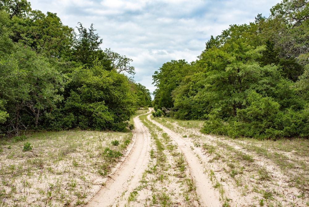 Texas Hill Country Ranch Road