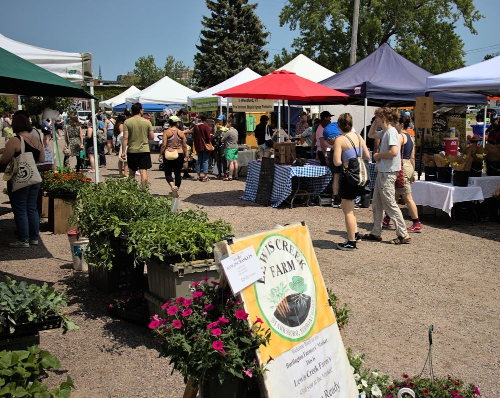 Shoppers at Burlington farmers market