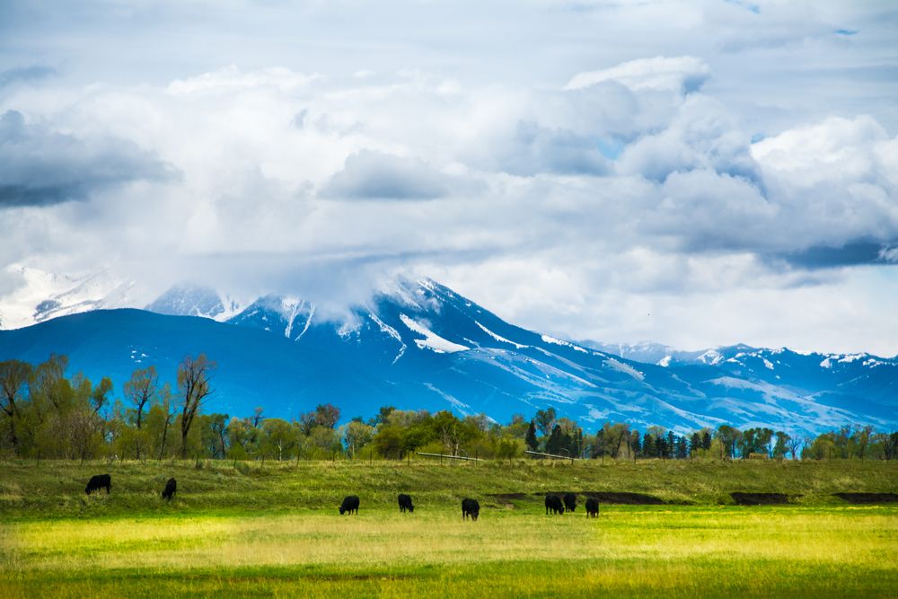 10 Things To Do In Bozeman Complete Guide To The Most Livable Place In