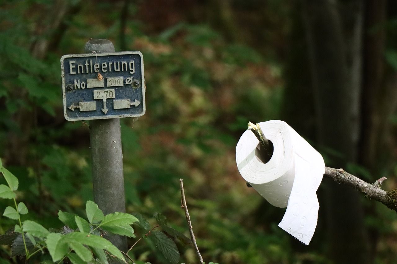 Toilet paper roll on a branch out in nature