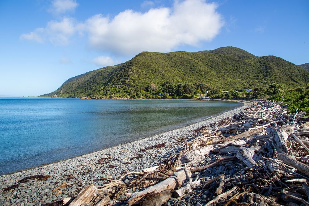 This Off-Shore New Zealand Island Is One Of The Best Reserves & Can Be ...