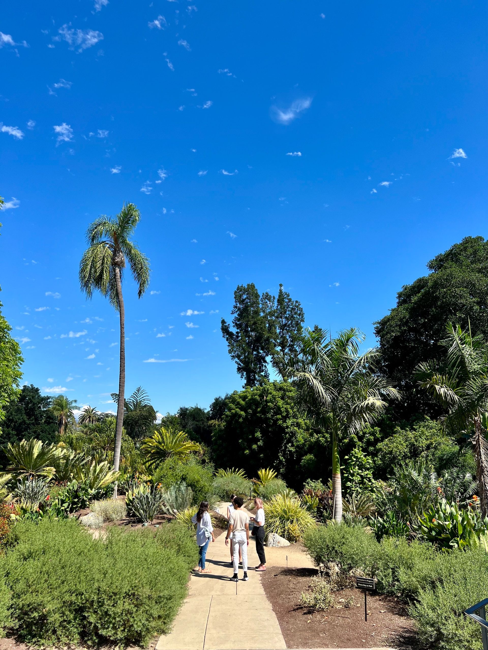 Gardens at Huntington Library