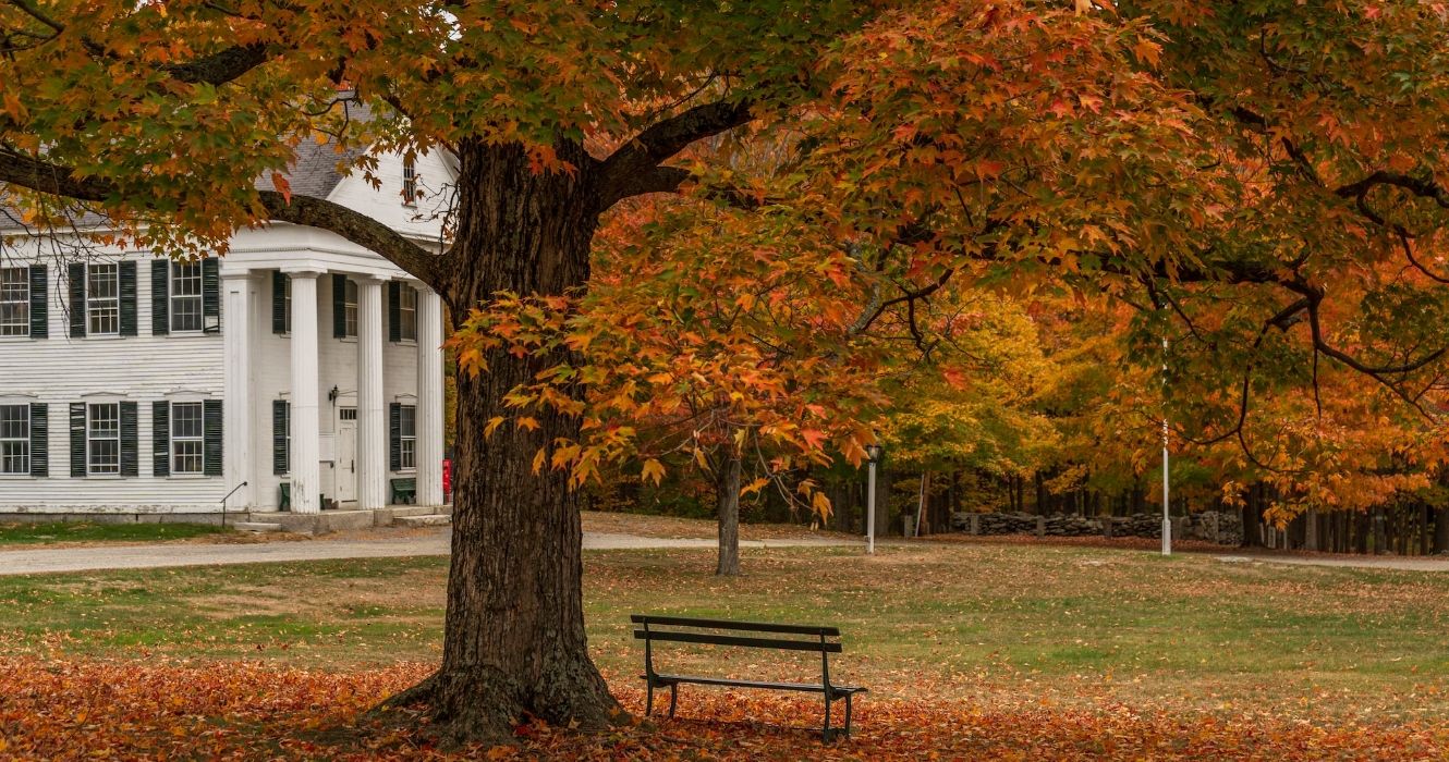 A park bench under a tree during fall in Shirley, MA