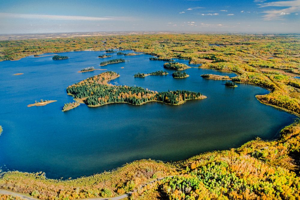 Le parc national Elk Island du Canada est l'un des meilleurs endroits ...