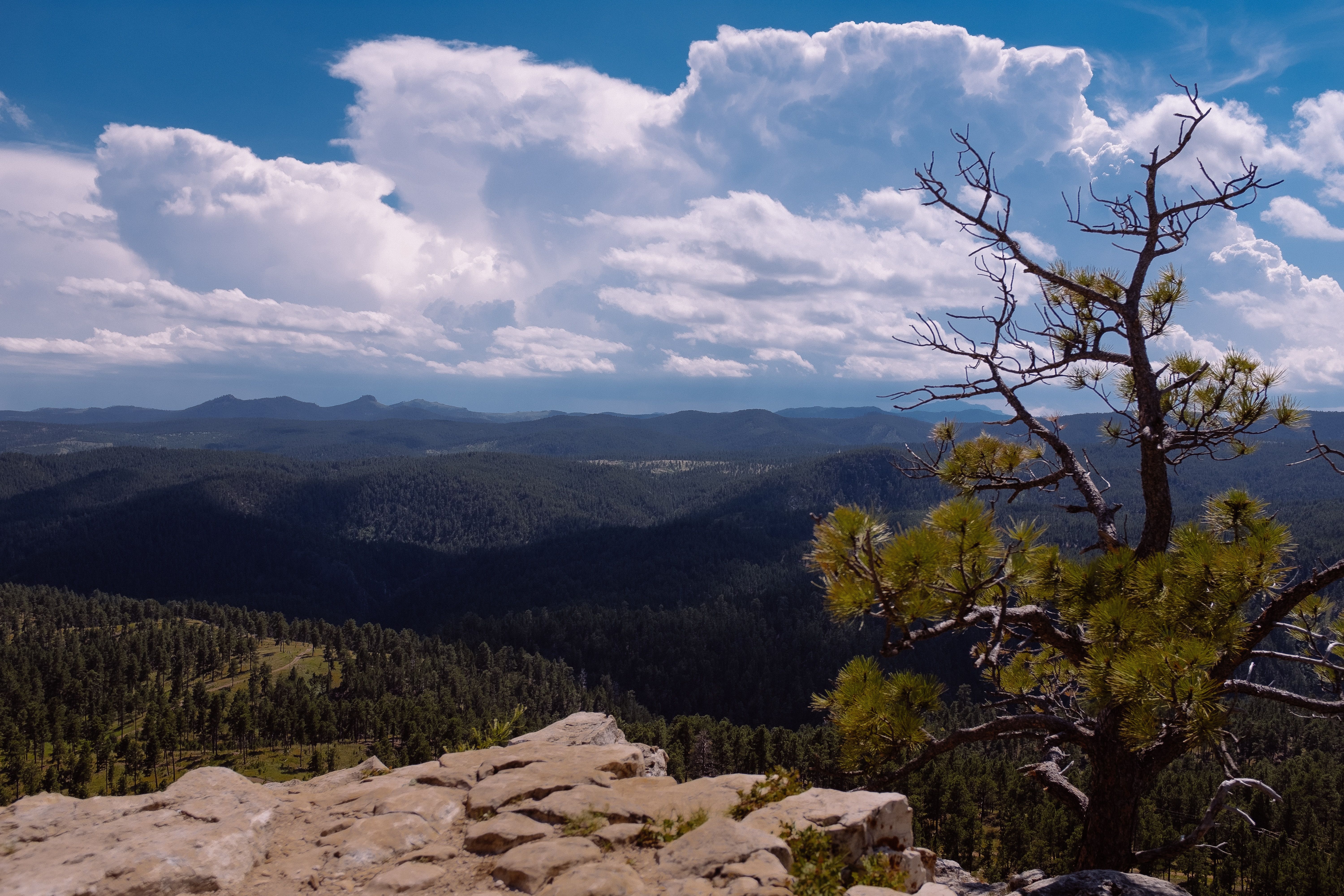 Black Hills