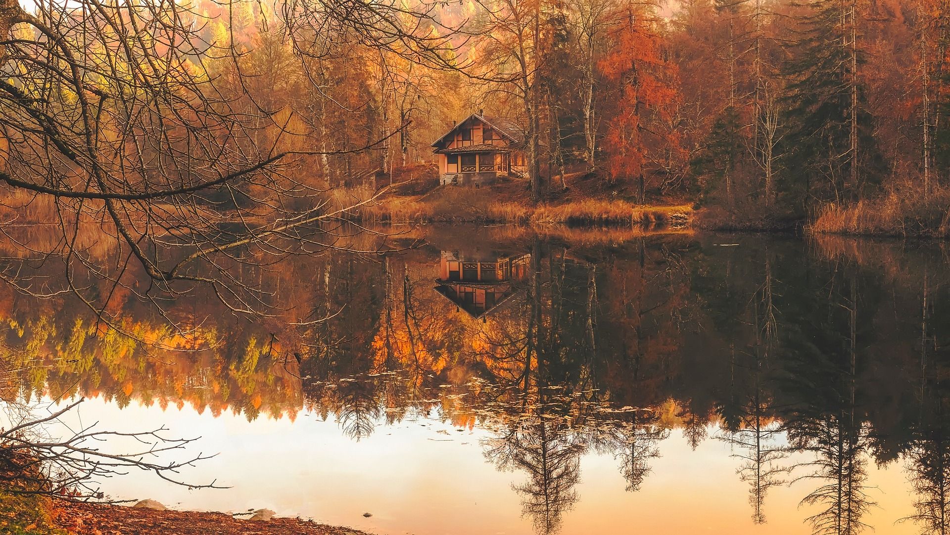 A lake cabin surrounded by autumn colors