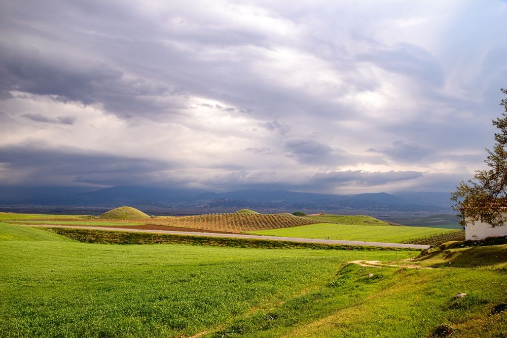 Ce site en Turquie abrite plus de 100 tumulus (et le plus grand mesure ...