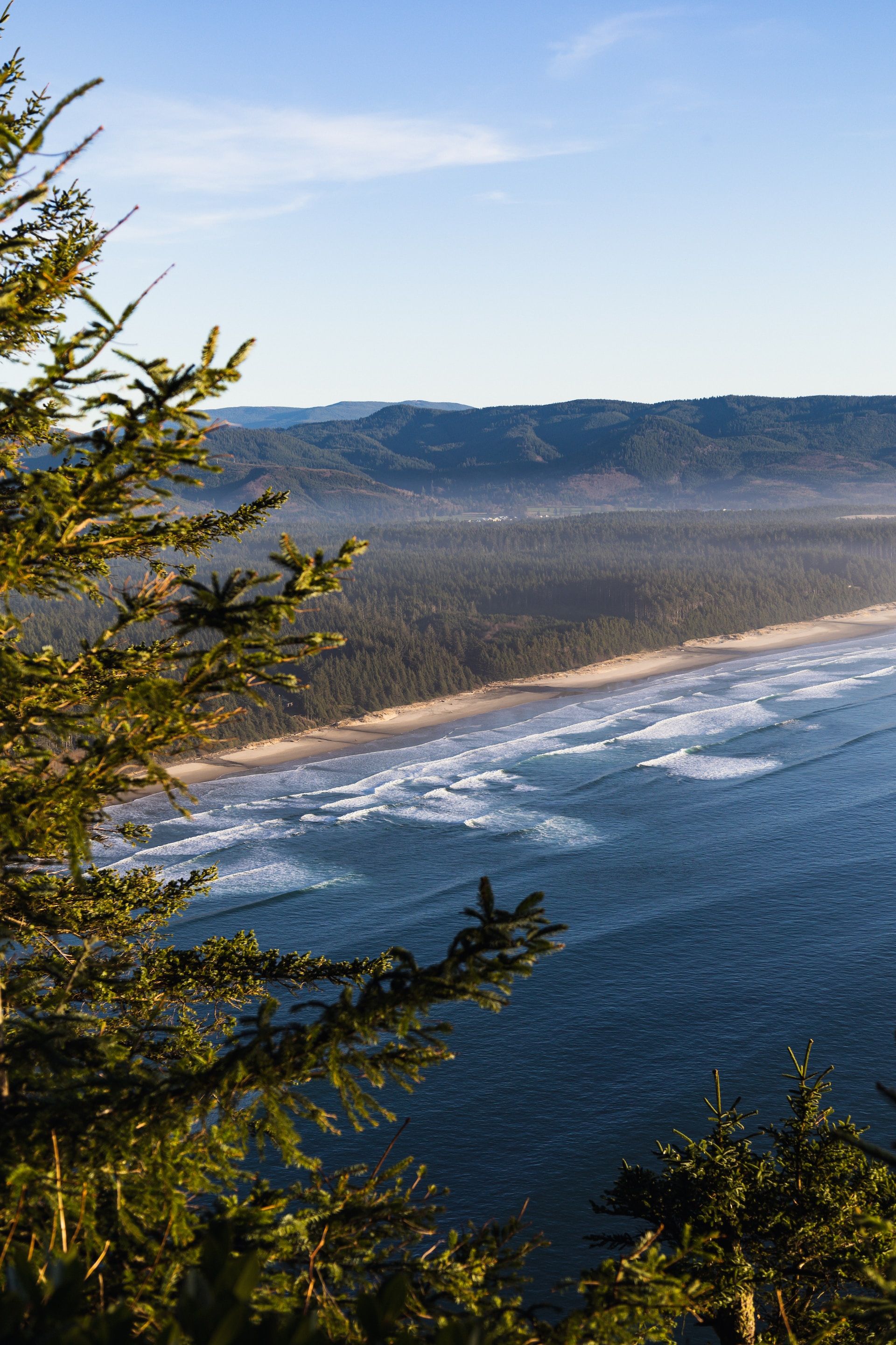 10 Hotels In Tillamook, Oregon, To Book For A Charming Fall Retreat