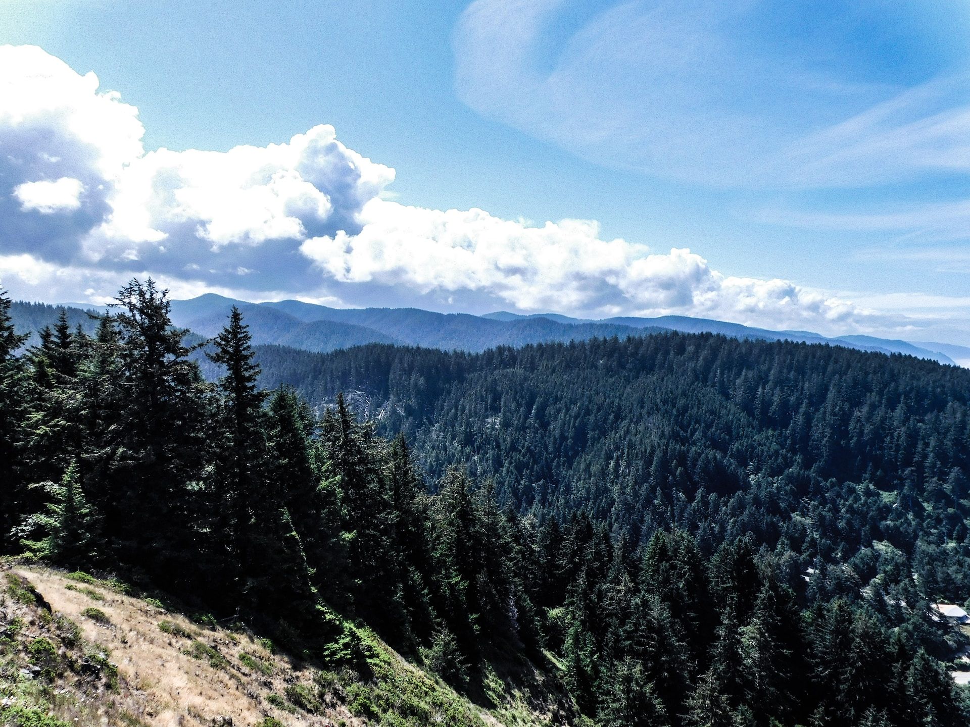 A view from Cape Perpetua Lookout in Yachats, Oregon