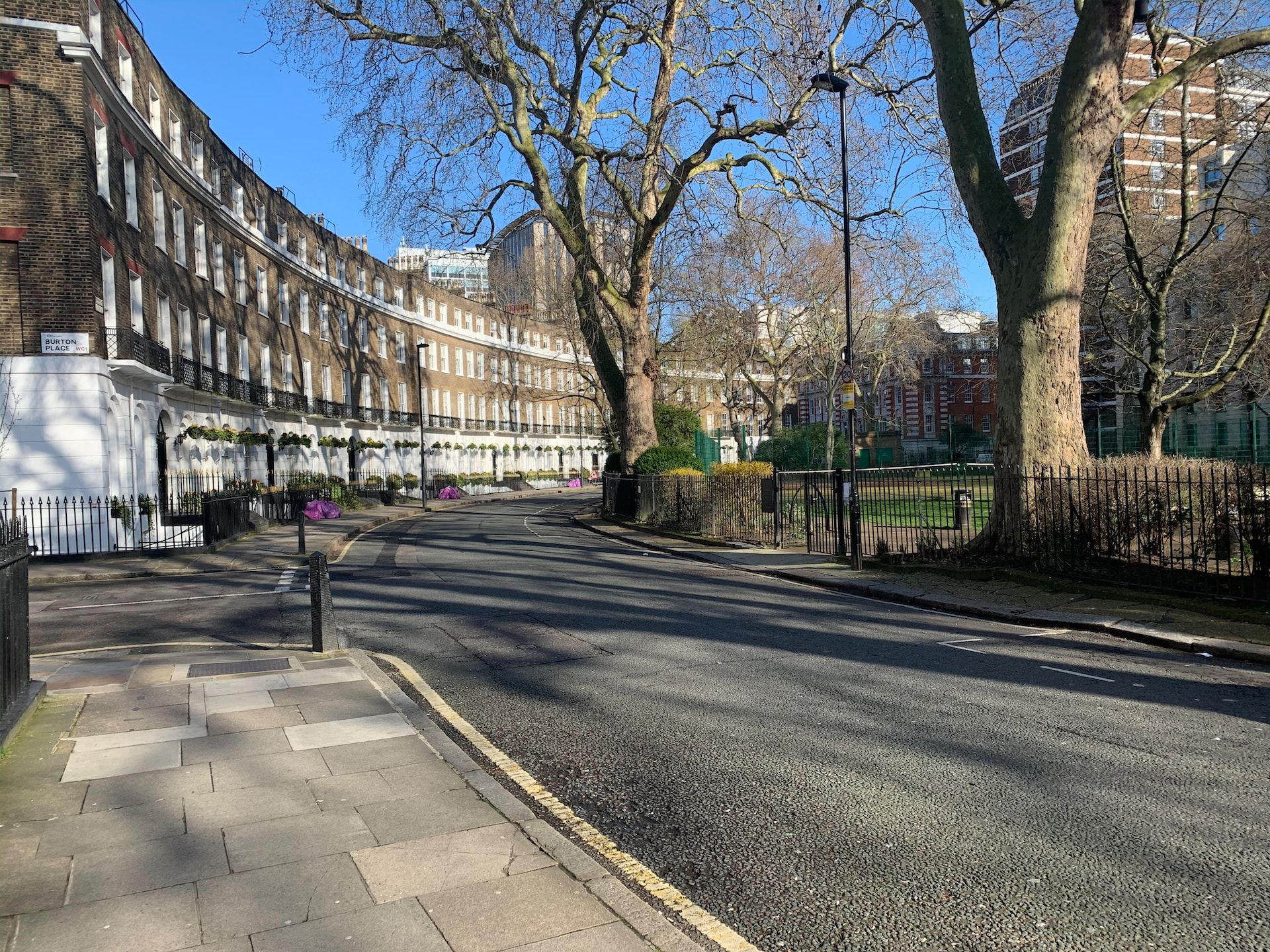 Central London, Bloomsbury street with a row of buildings and trees.