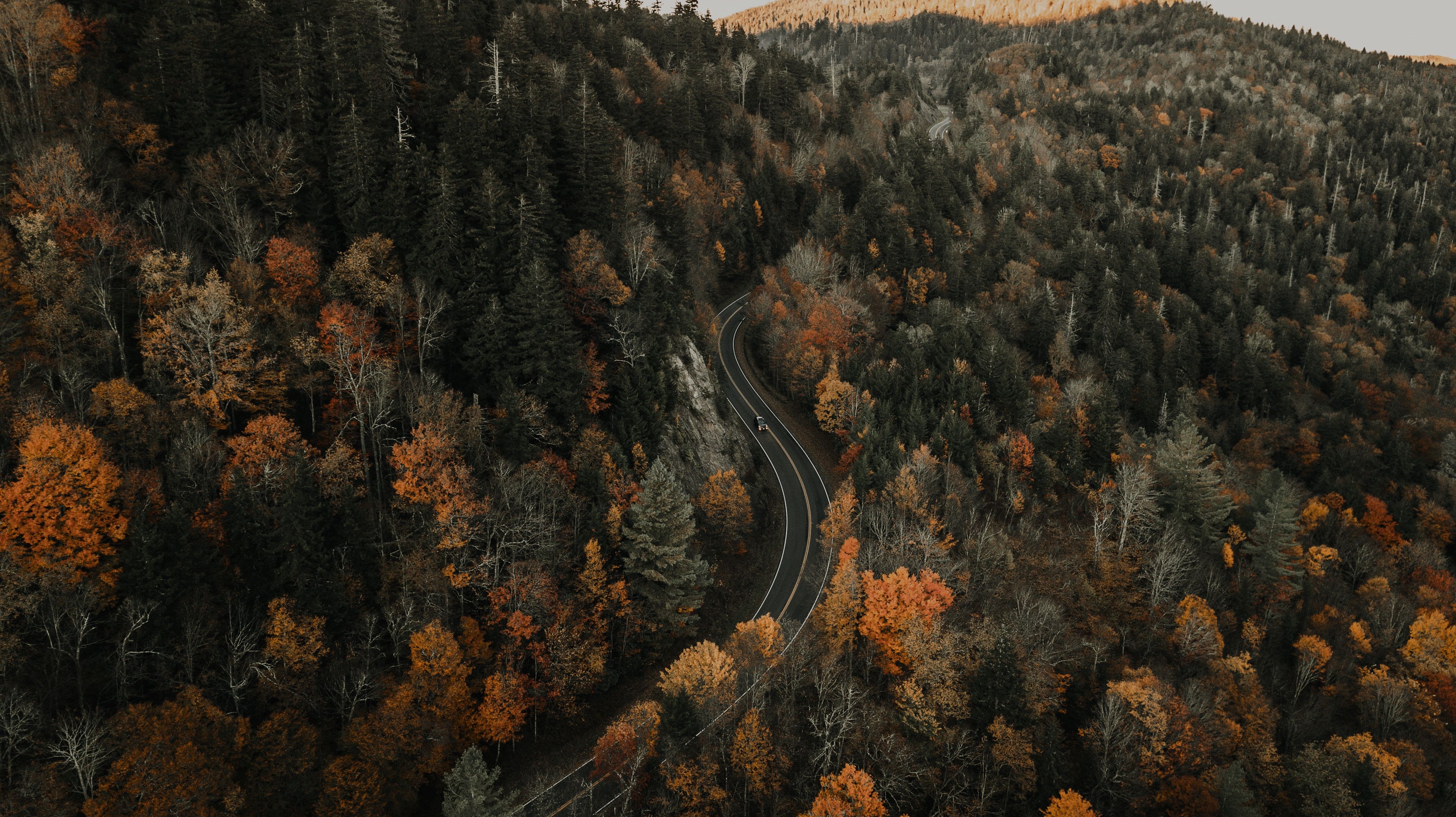 Blue Ridge Mountains during fall