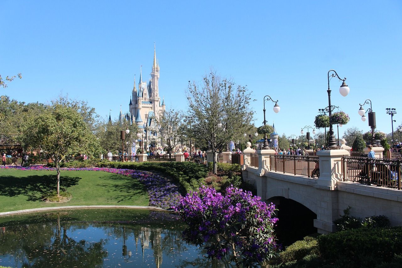 A View Of Disney World in Orlando, Florida