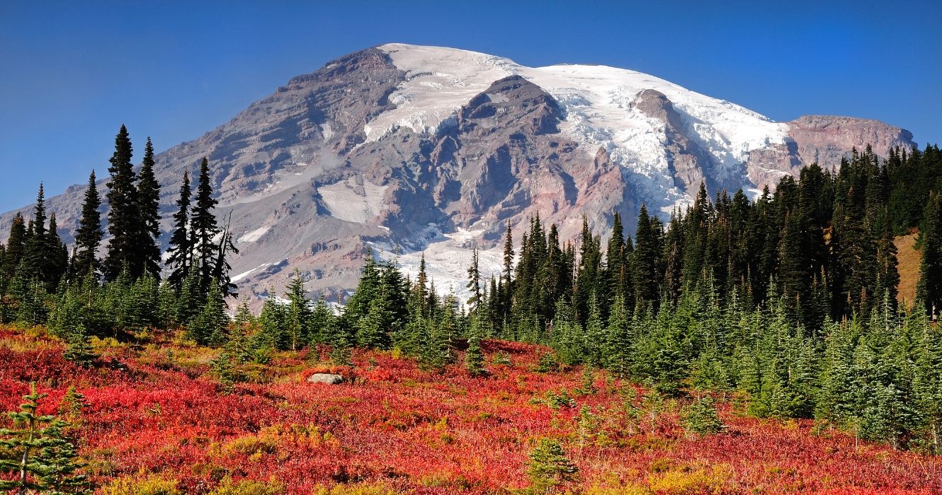 Fall colors at Mt Rainier Washington