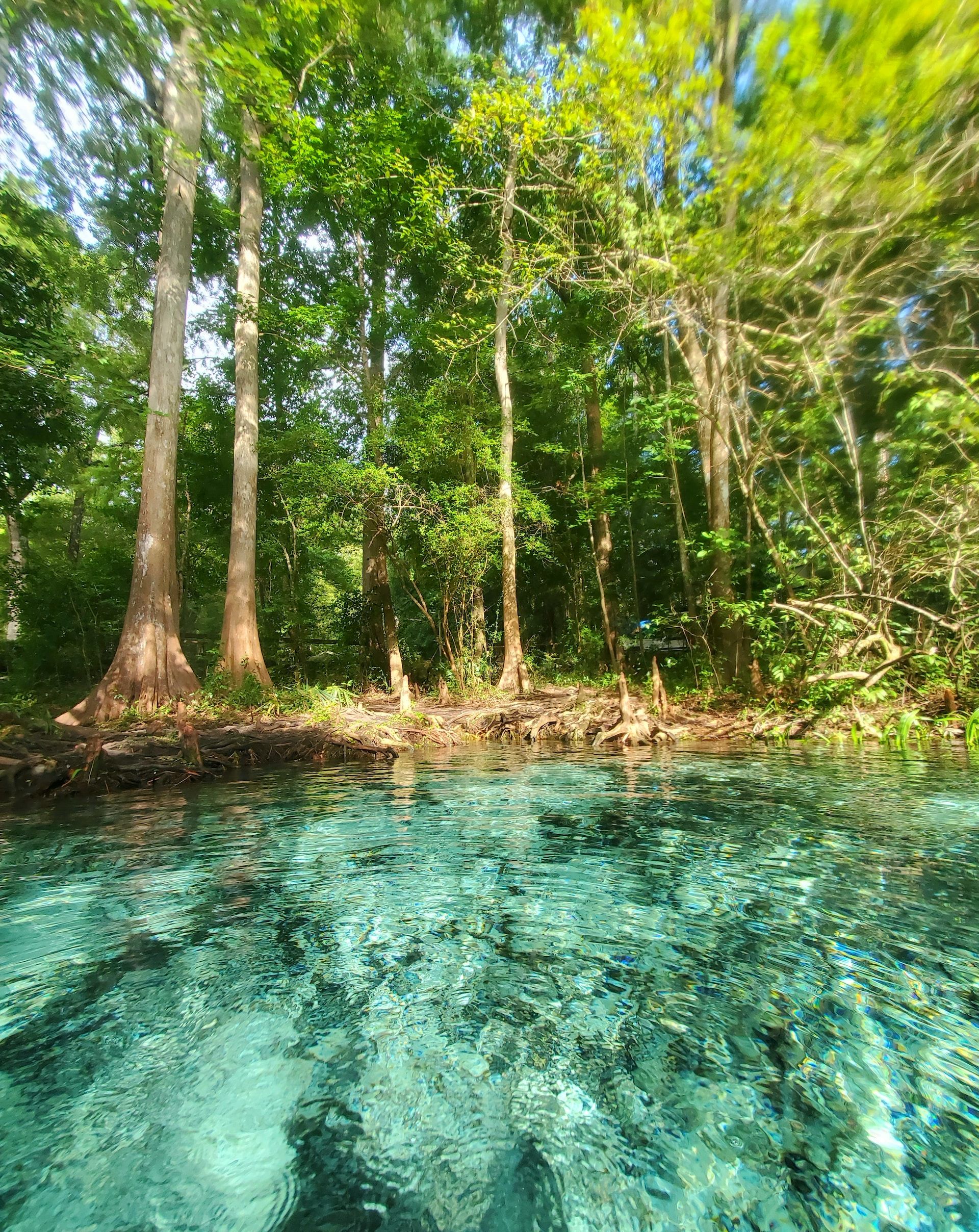 The calm waters of Ginnie Springs in Florida