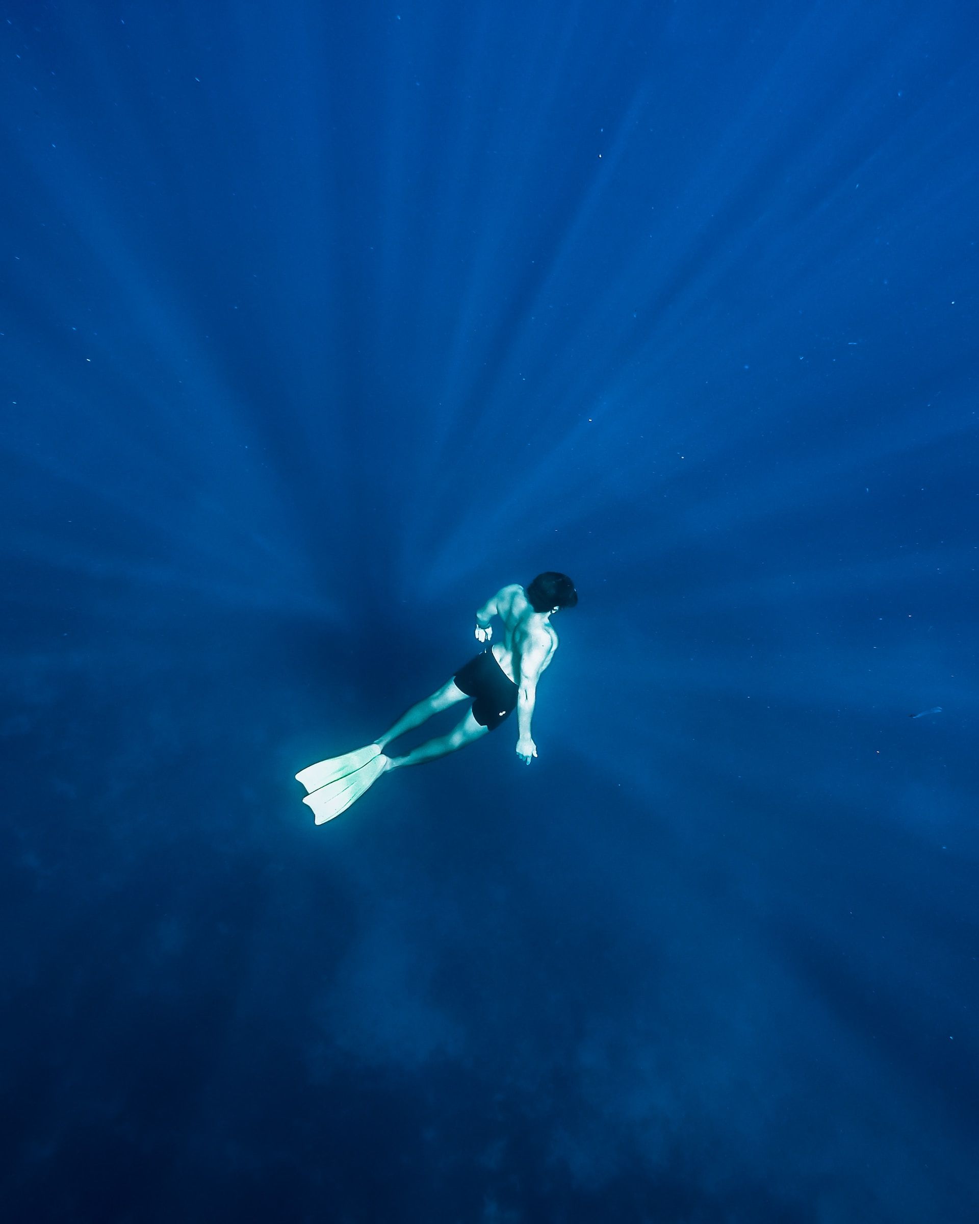 Freediving 10 Incredible Facts To Know About This Unbelievable Sport
