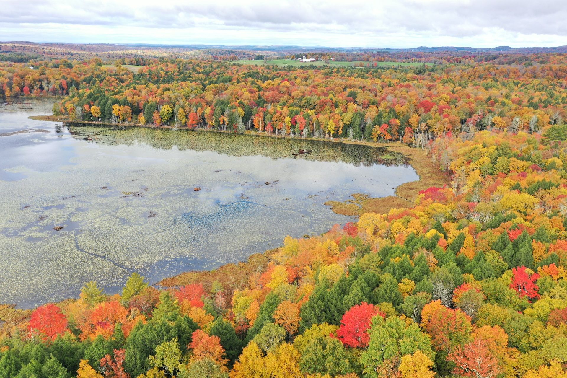 Trees with vibrant red, orange, and yellow foliage around a lake in Bethel, New York
