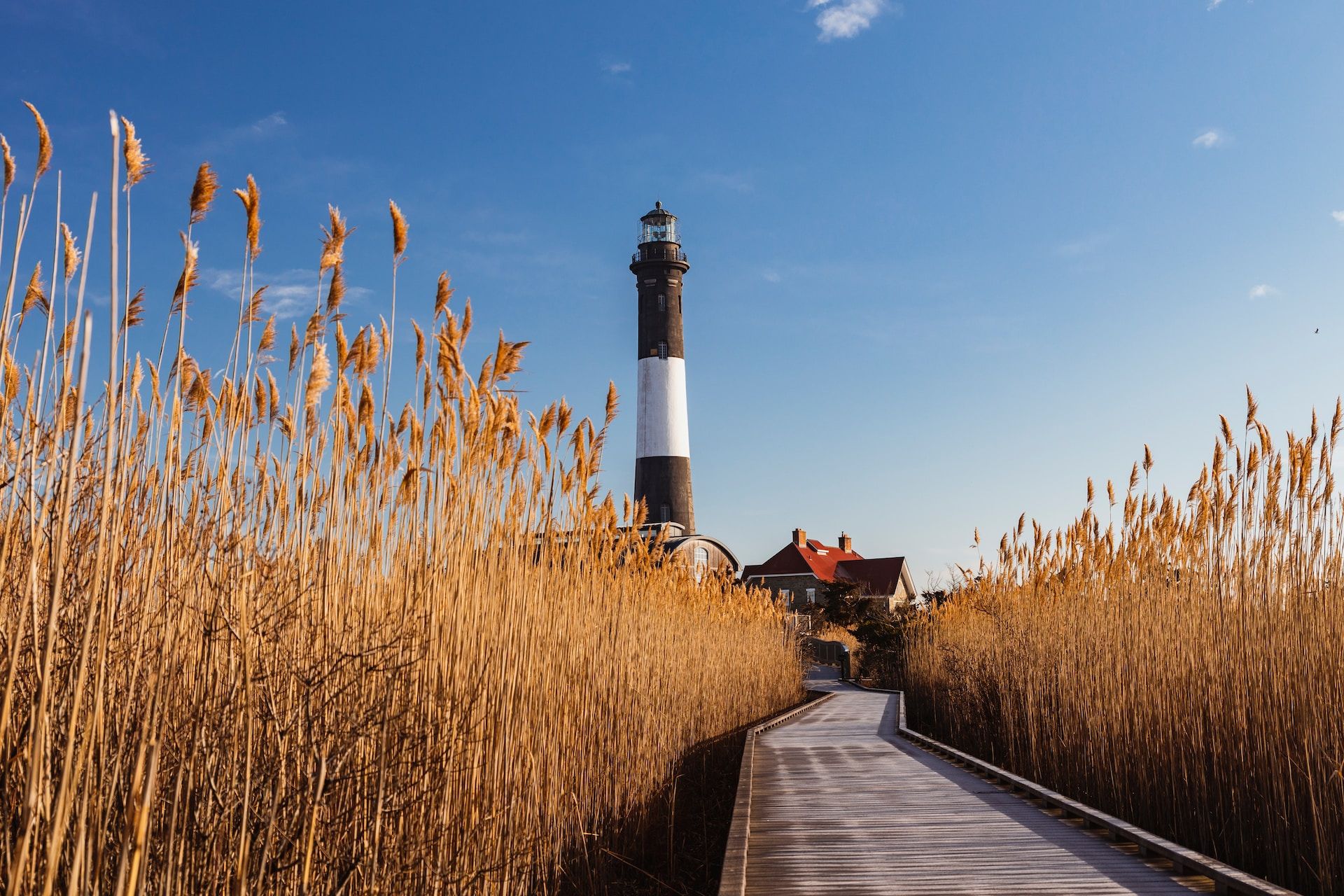 Brown grass with lighthouse in the background in Patchogue, Long Island