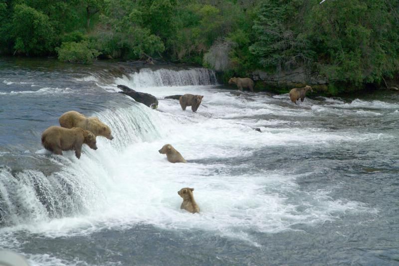 Brooks Falls At Katmai National Park And Preserve In Alaska, USA