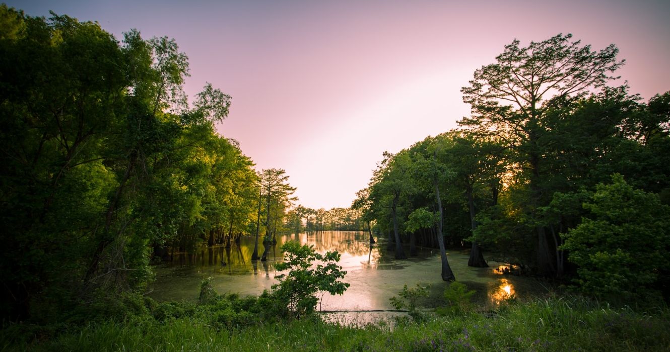 10 Hidden Gems Not To Miss In Mississippi